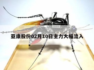 亚康股份02月10日主力大幅流入
