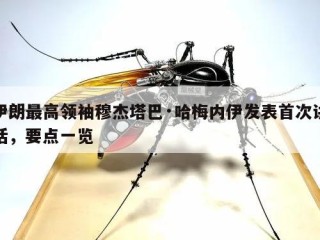 伊朗最高领袖穆杰塔巴·哈梅内伊发表首次讲话，要点一览