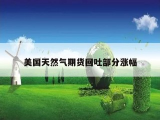 美国天然气期货回吐部分涨幅