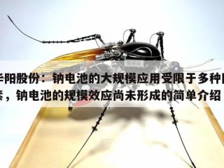 华阳股份：钠电池的大规模应用受限于多种因素，钠电池的规模效应尚未形成的简单介绍