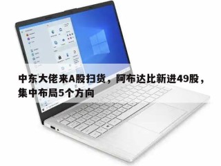 中东大佬来A股扫货，阿布达比新进49股，集中布局5个方向