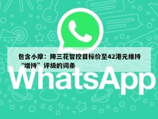 包含小摩：降三花智控目标价至42港元维持“增持”评级的词条