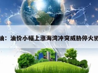 原油：油价小幅上涨海湾冲突威胁停火协议