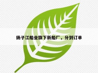 扬子江船业旗下新船厂，分到订单