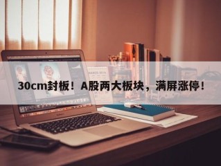 30cm封板！A股两大板块，满屏涨停！