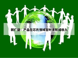 新广益：产品在芯片领域暂时未形成收入
