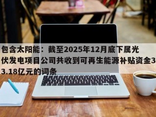 包含太阳能：截至2025年12月底下属光伏发电项目公司共收到可再生能源补贴资金33.18亿元的词条