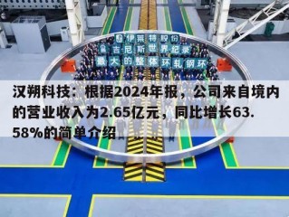汉朔科技：根据2024年报，公司来自境内的营业收入为2.65亿元，同比增长63.58%的简单介绍