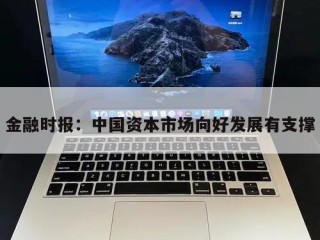 金融时报：中国资本市场向好发展有支撑